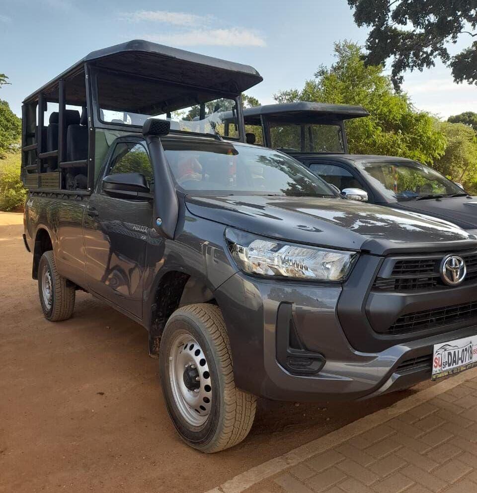 Half day safari jeep in Yala National Park